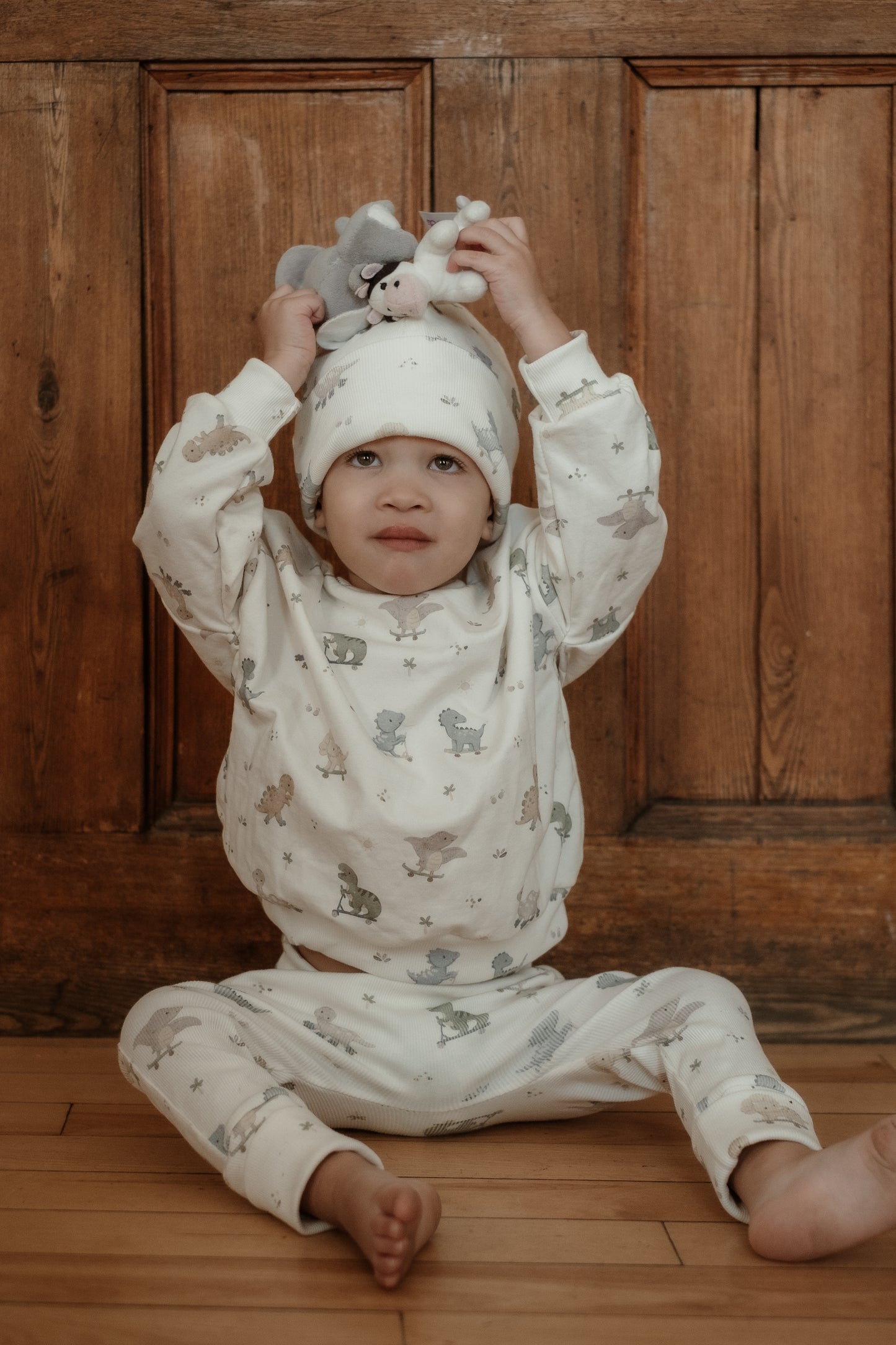 Dinos on Wheels Sweater