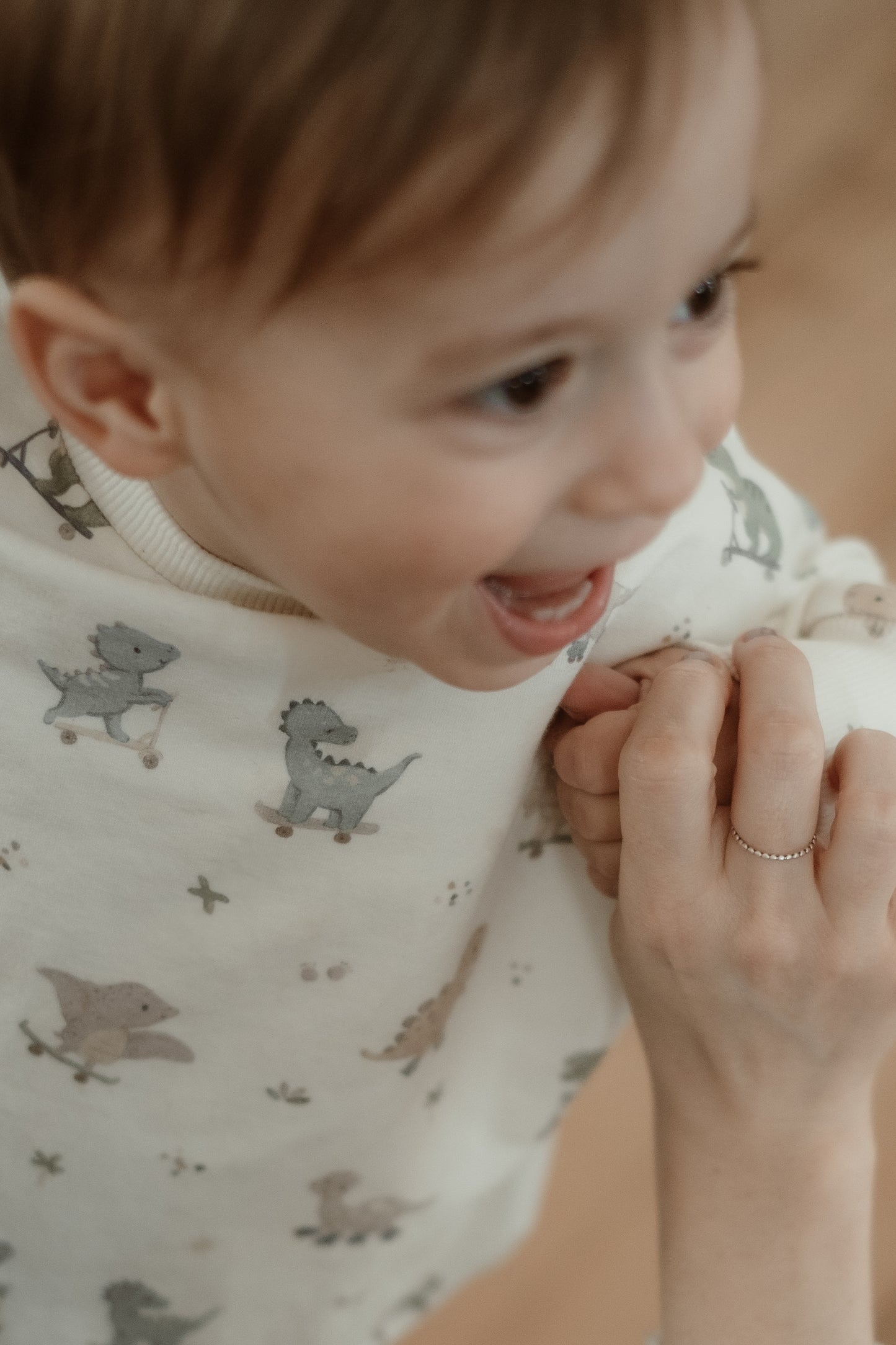 Dinosaurs Sweater