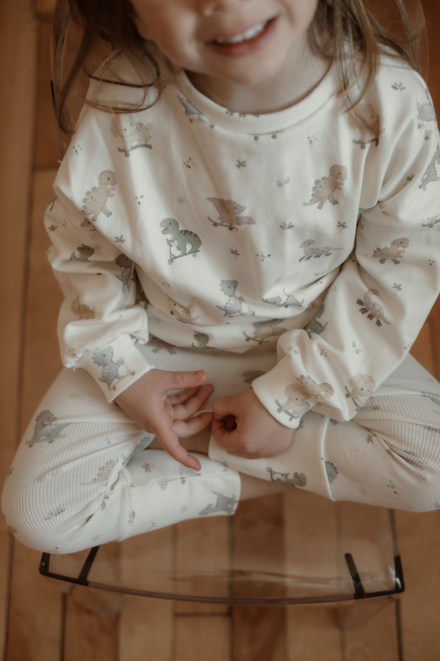 Dinosaurs Sweater