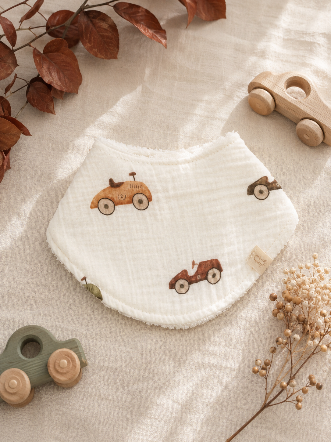Cars Drool Bib