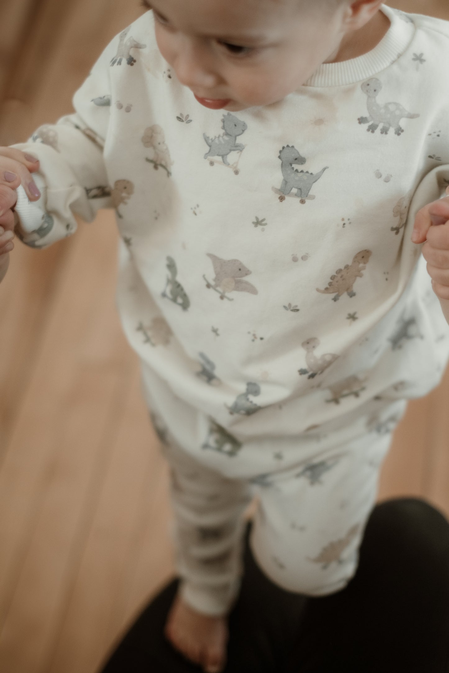 Dinos on Wheels Sweater