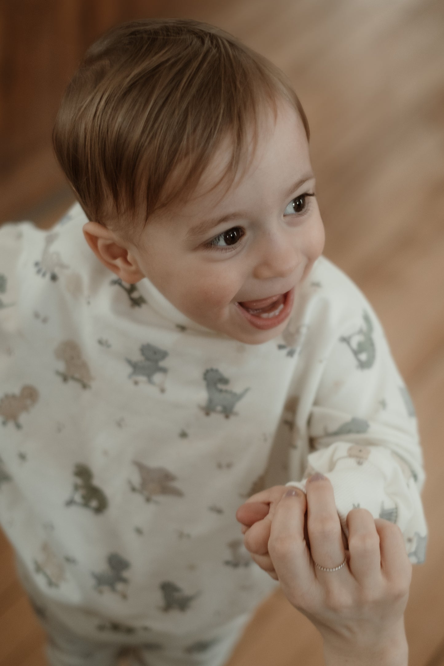 Dinos on Wheels Sweater