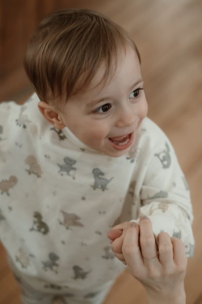 Dinos on Wheels Sweater