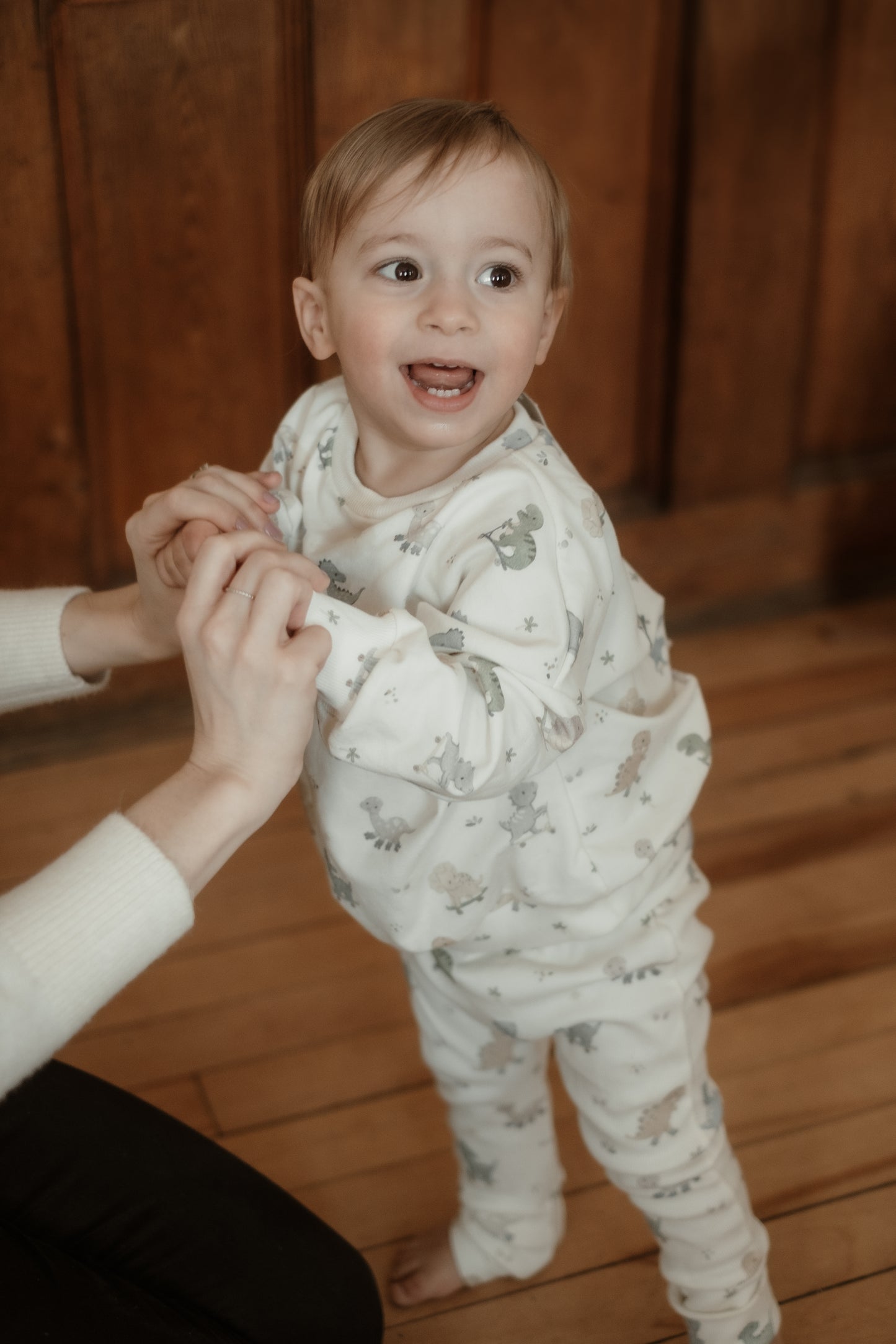 Dinos on Wheels Sweater