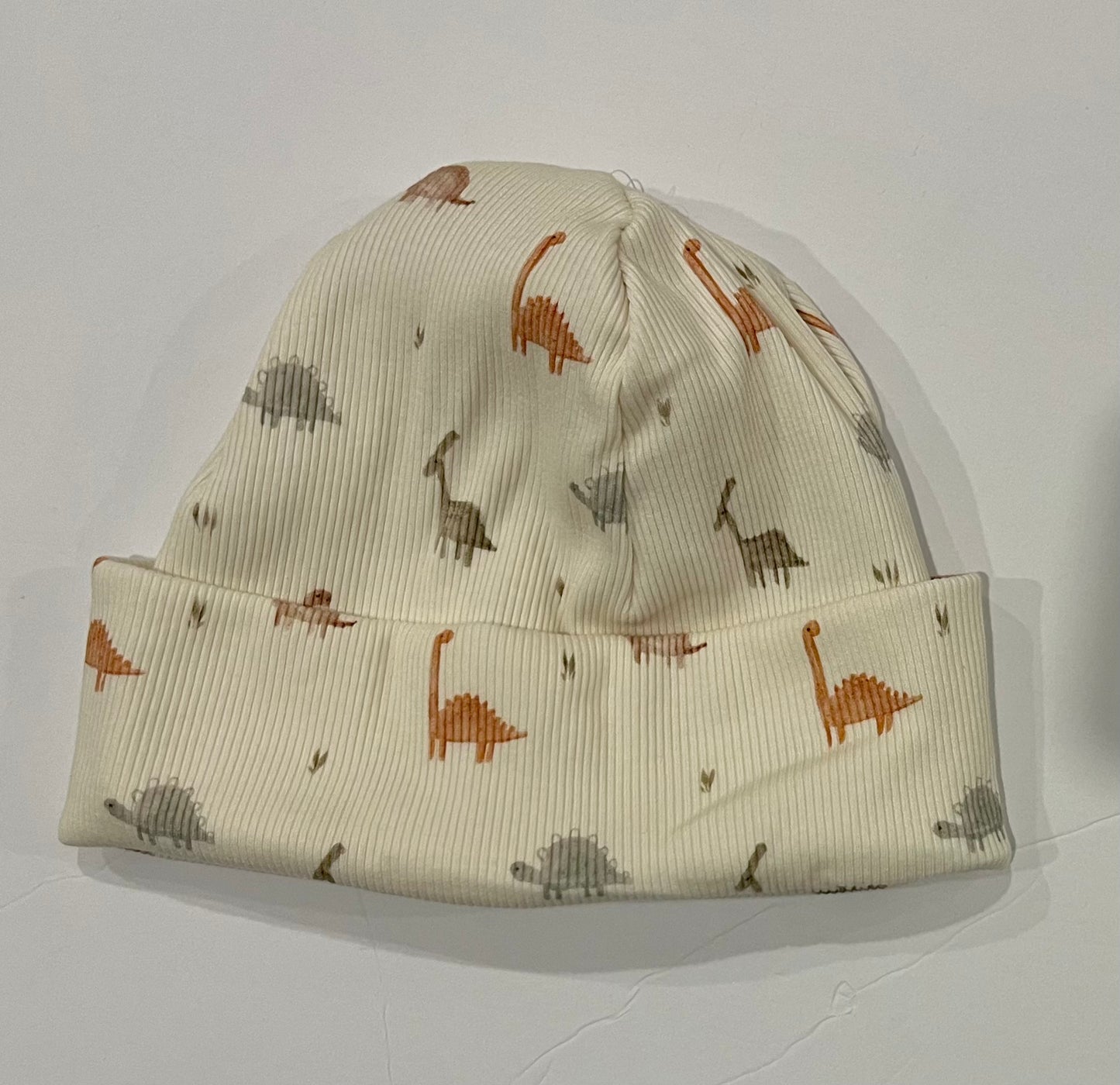 Dinosaurs Beanie