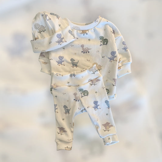 Dinosaur Matching Set